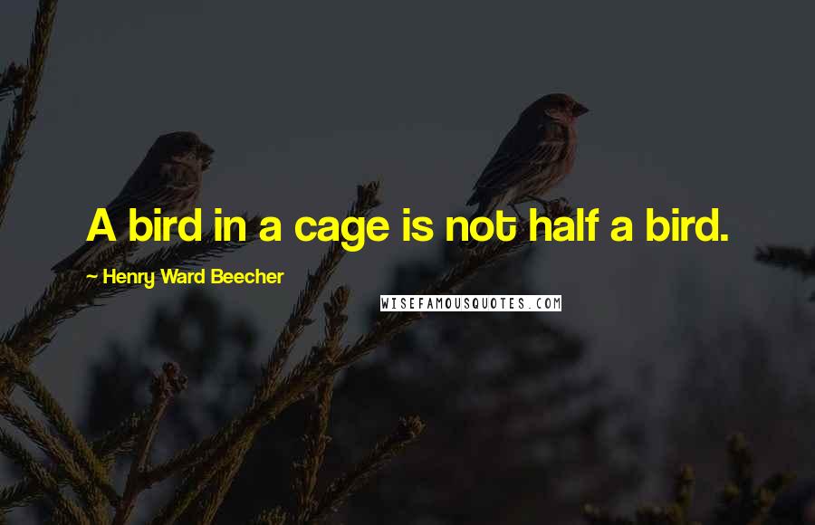 Henry Ward Beecher Quotes: A bird in a cage is not half a bird.