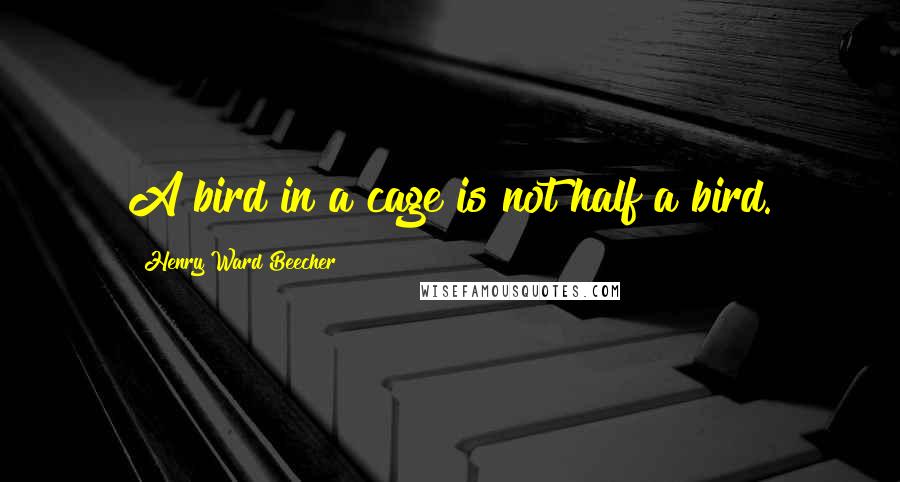 Henry Ward Beecher Quotes: A bird in a cage is not half a bird.