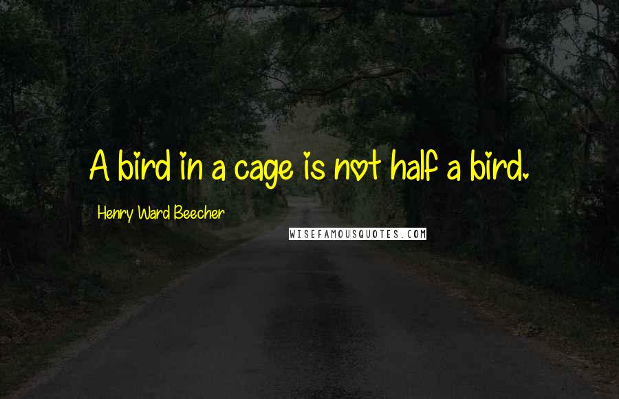 Henry Ward Beecher Quotes: A bird in a cage is not half a bird.