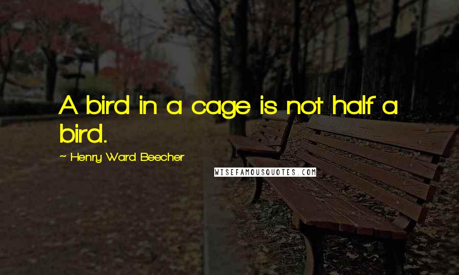 Henry Ward Beecher Quotes: A bird in a cage is not half a bird.