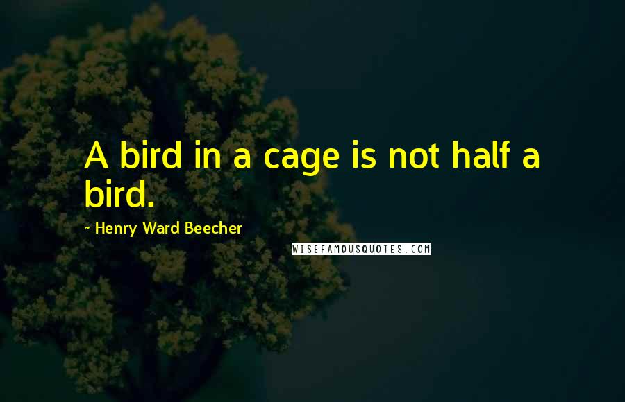 Henry Ward Beecher Quotes: A bird in a cage is not half a bird.