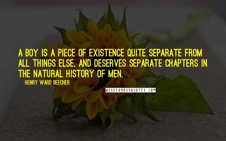 Henry Ward Beecher Quotes: A boy is a piece of existence quite separate from all things else, and deserves separate chapters in the natural history of men.