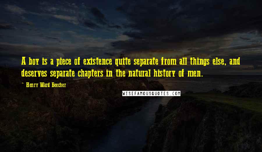 Henry Ward Beecher Quotes: A boy is a piece of existence quite separate from all things else, and deserves separate chapters in the natural history of men.