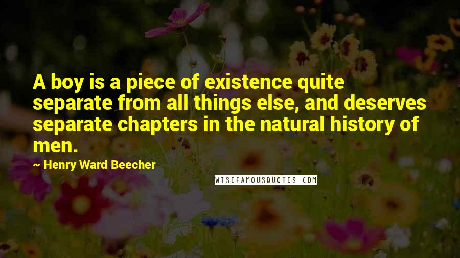 Henry Ward Beecher Quotes: A boy is a piece of existence quite separate from all things else, and deserves separate chapters in the natural history of men.