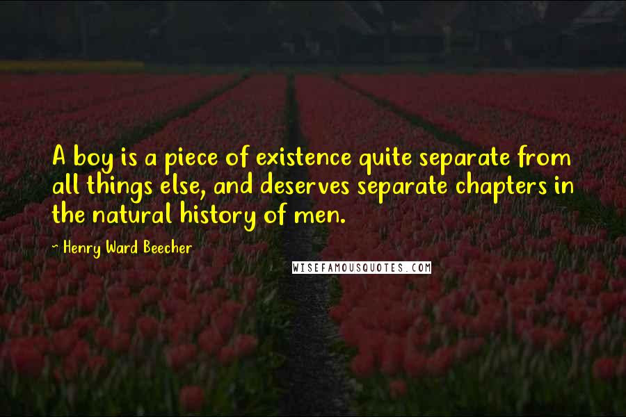 Henry Ward Beecher Quotes: A boy is a piece of existence quite separate from all things else, and deserves separate chapters in the natural history of men.