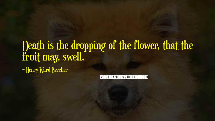 Henry Ward Beecher Quotes: Death is the dropping of the flower, that the fruit may, swell.