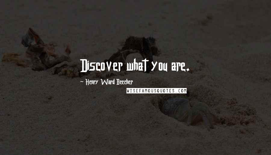 Henry Ward Beecher Quotes: Discover what you are.