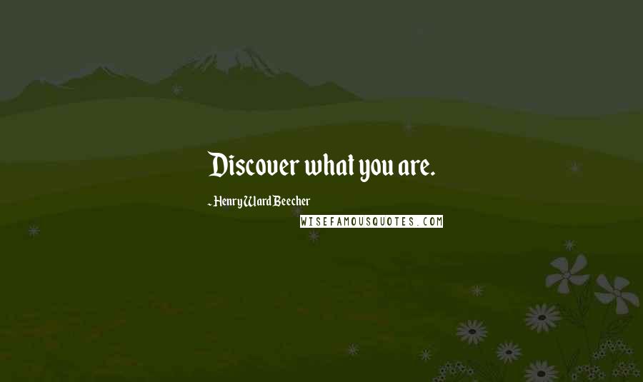 Henry Ward Beecher Quotes: Discover what you are.