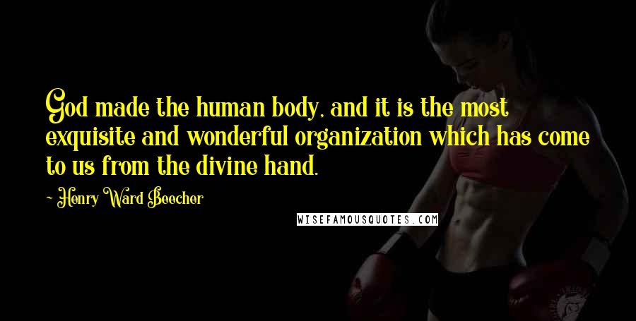 Henry Ward Beecher Quotes: God made the human body, and it is the most exquisite and wonderful organization which has come to us from the divine hand.