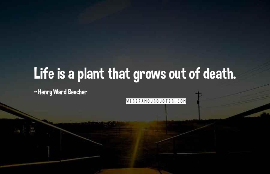 Henry Ward Beecher Quotes: Life is a plant that grows out of death.