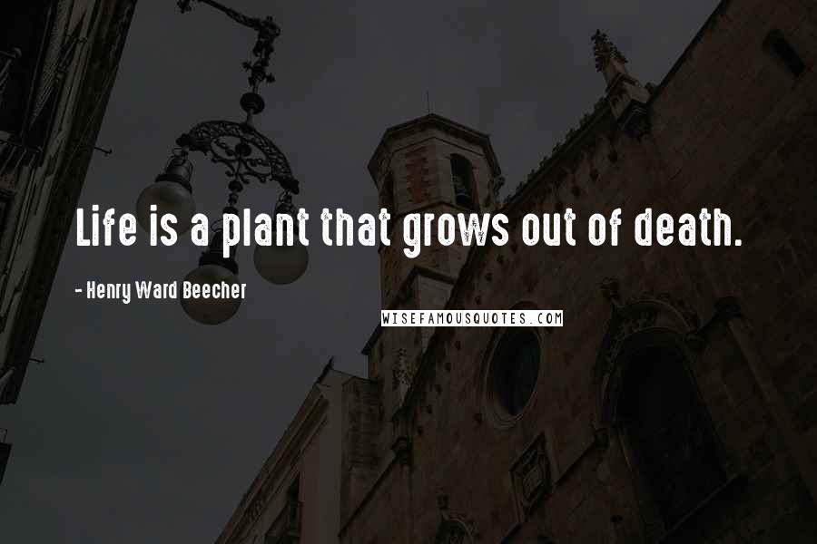 Henry Ward Beecher Quotes: Life is a plant that grows out of death.