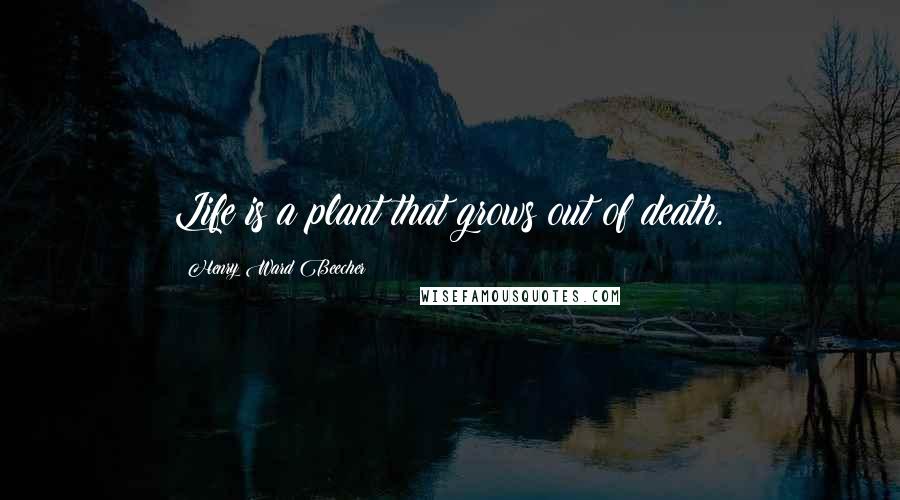 Henry Ward Beecher Quotes: Life is a plant that grows out of death.