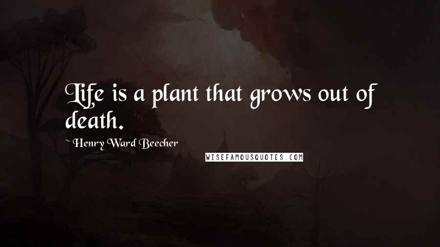 Henry Ward Beecher Quotes: Life is a plant that grows out of death.