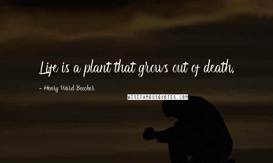 Henry Ward Beecher Quotes: Life is a plant that grows out of death.