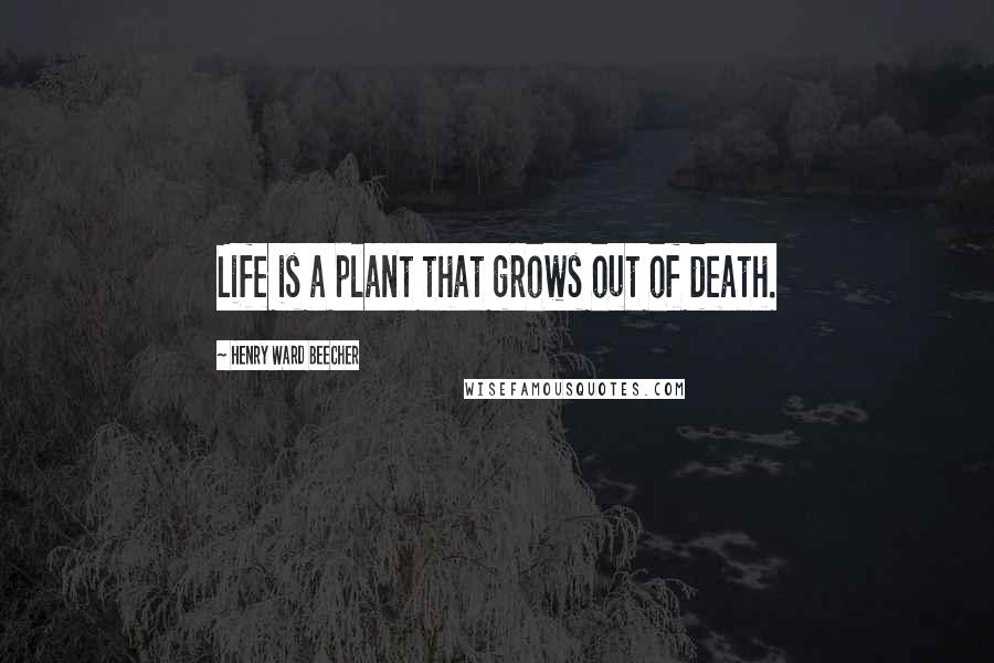 Henry Ward Beecher Quotes: Life is a plant that grows out of death.