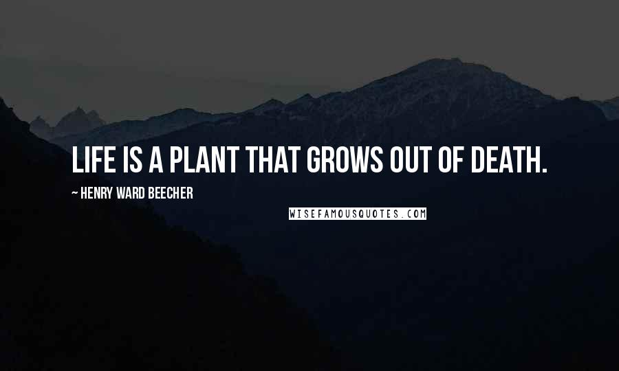 Henry Ward Beecher Quotes: Life is a plant that grows out of death.