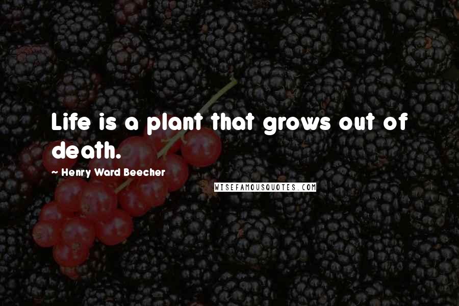 Henry Ward Beecher Quotes: Life is a plant that grows out of death.