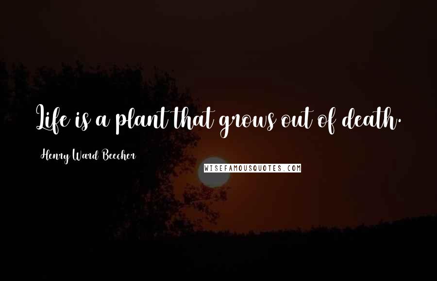 Henry Ward Beecher Quotes: Life is a plant that grows out of death.