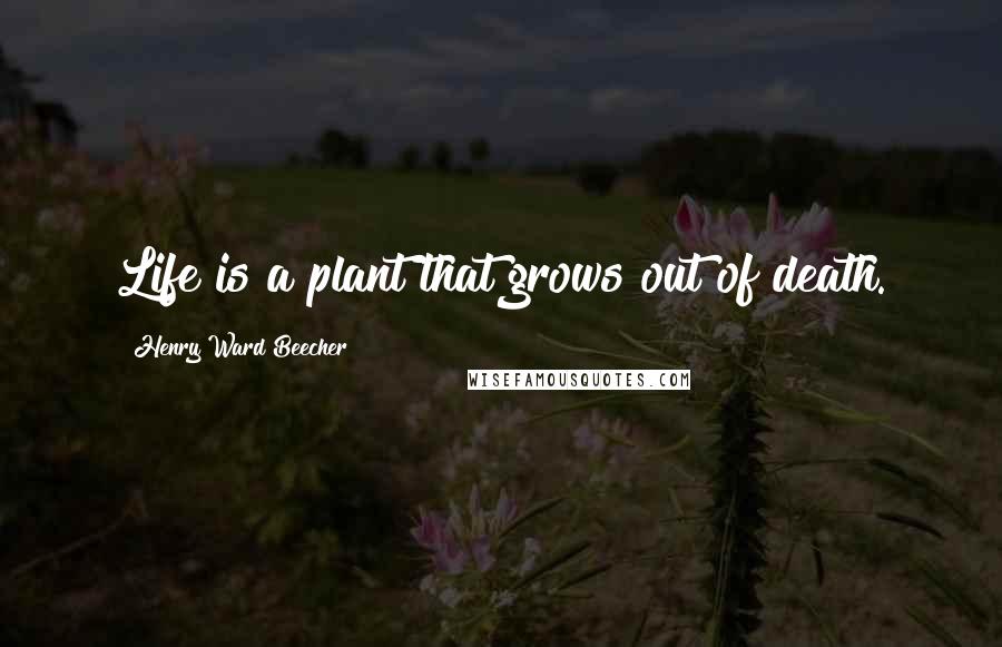 Henry Ward Beecher Quotes: Life is a plant that grows out of death.