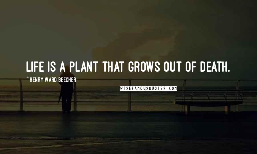 Henry Ward Beecher Quotes: Life is a plant that grows out of death.