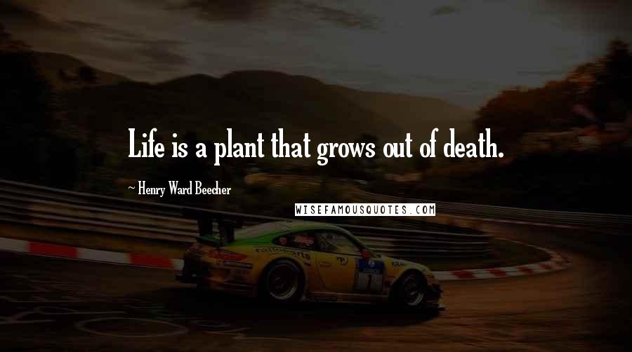 Henry Ward Beecher Quotes: Life is a plant that grows out of death.