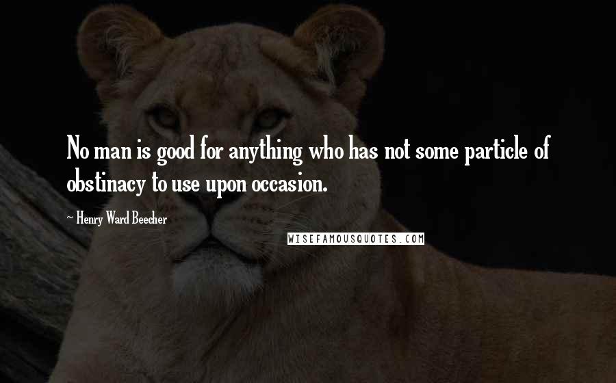 Henry Ward Beecher Quotes: No man is good for anything who has not some particle of obstinacy to use upon occasion.