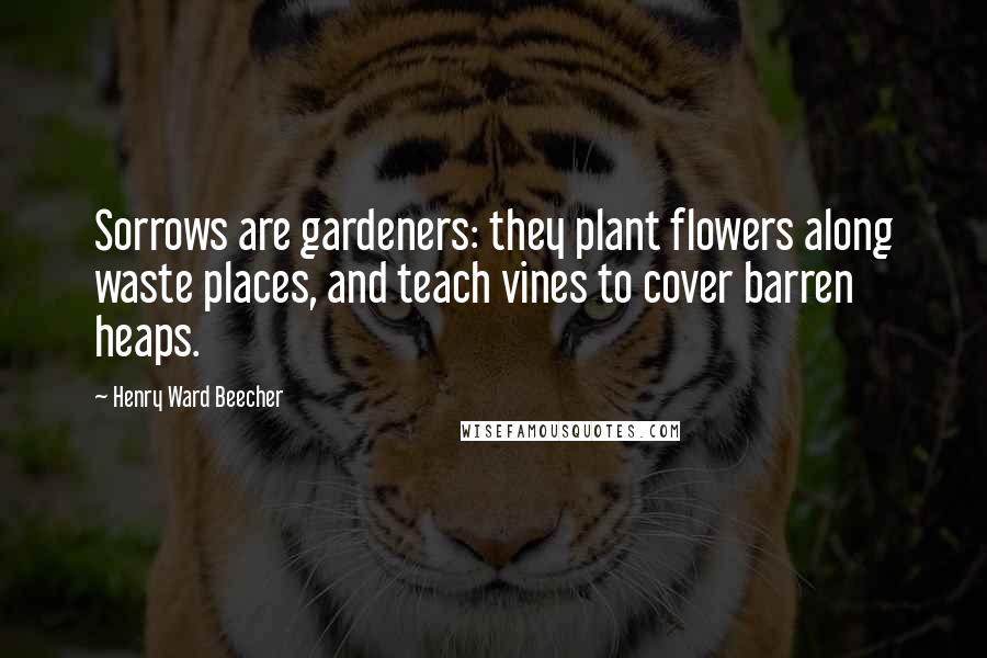 Henry Ward Beecher Quotes: Sorrows are gardeners: they plant flowers along waste places, and teach vines to cover barren heaps.