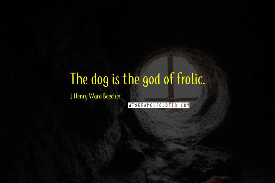 Henry Ward Beecher Quotes: The dog is the god of frolic.