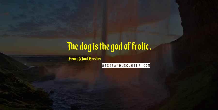 Henry Ward Beecher Quotes: The dog is the god of frolic.