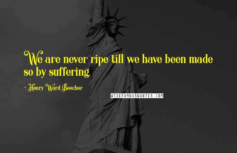 Henry Ward Beecher Quotes: We are never ripe till we have been made so by suffering.
