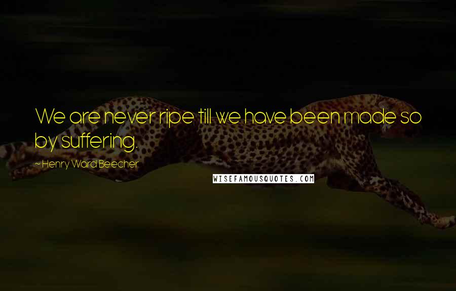 Henry Ward Beecher Quotes: We are never ripe till we have been made so by suffering.