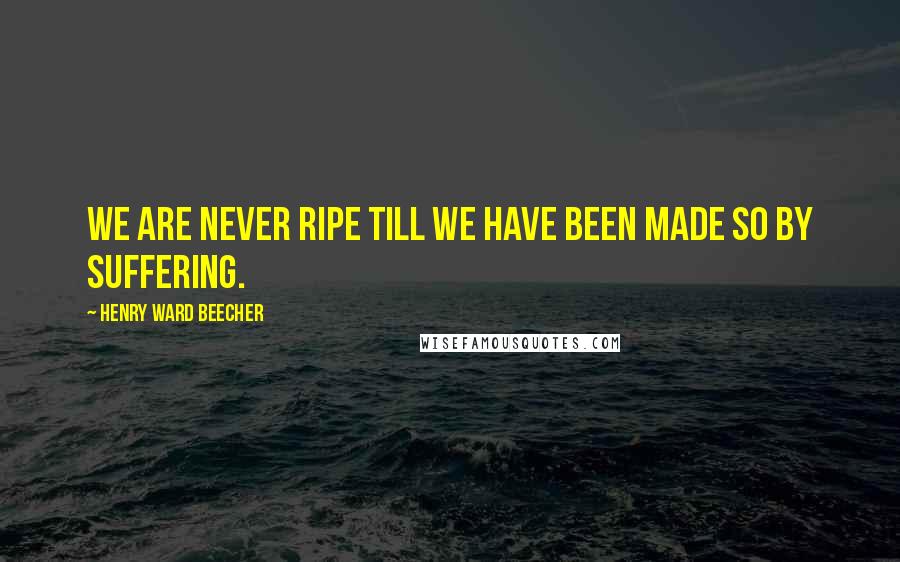 Henry Ward Beecher Quotes: We are never ripe till we have been made so by suffering.