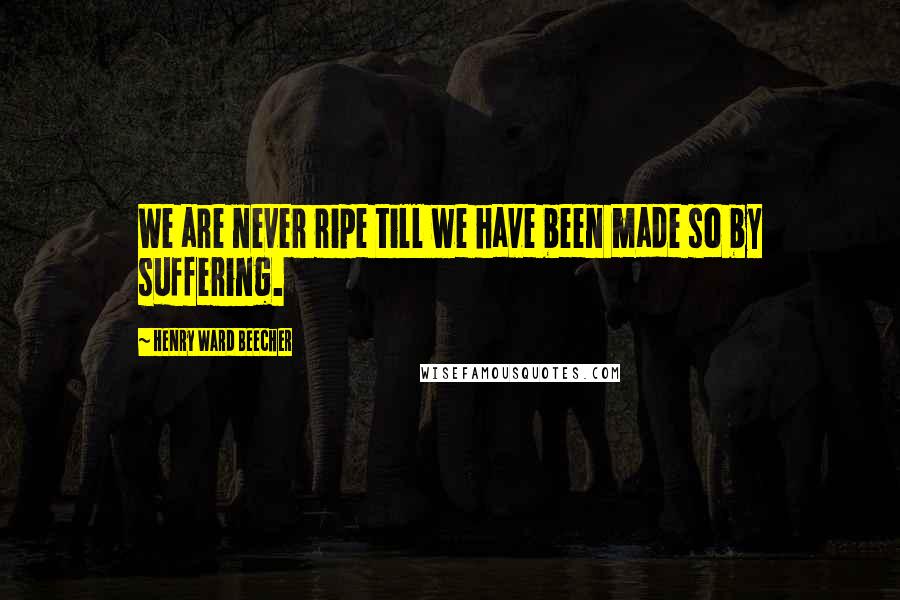 Henry Ward Beecher Quotes: We are never ripe till we have been made so by suffering.
