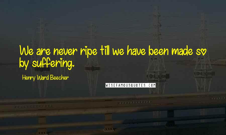 Henry Ward Beecher Quotes: We are never ripe till we have been made so by suffering.