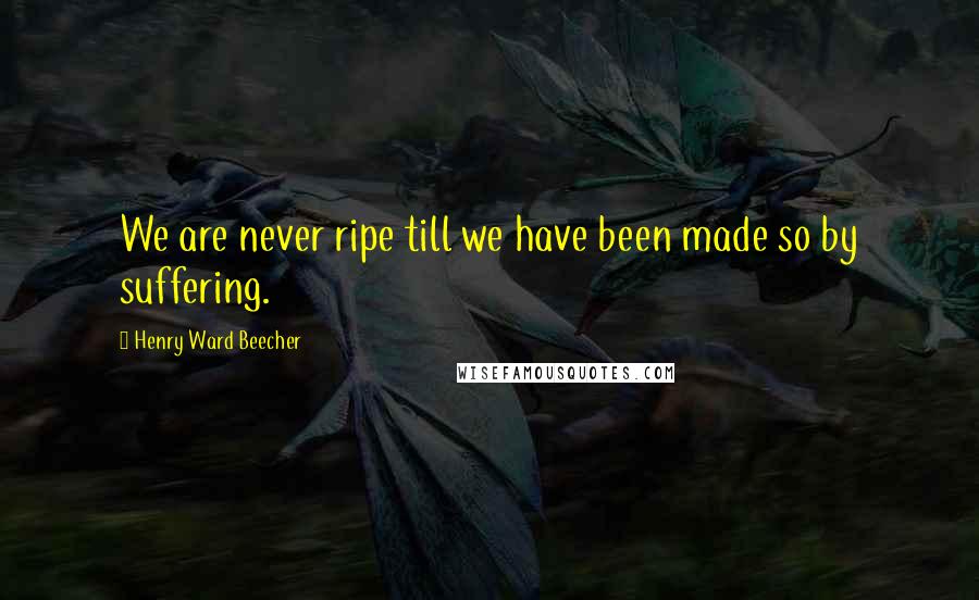 Henry Ward Beecher Quotes: We are never ripe till we have been made so by suffering.