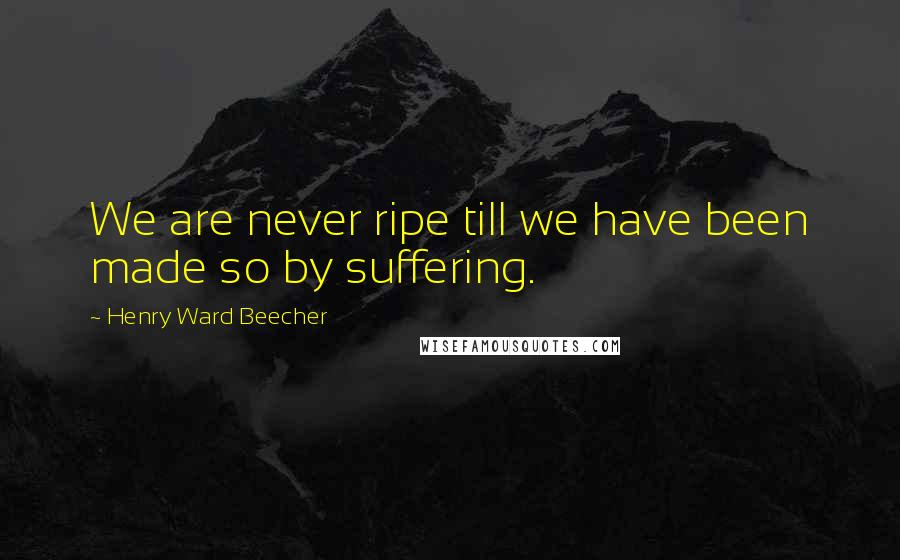 Henry Ward Beecher Quotes: We are never ripe till we have been made so by suffering.