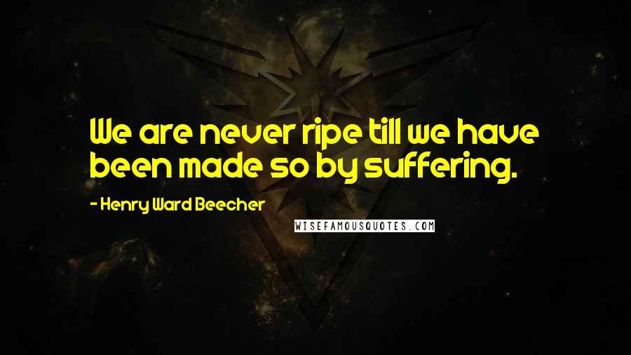 Henry Ward Beecher Quotes: We are never ripe till we have been made so by suffering.