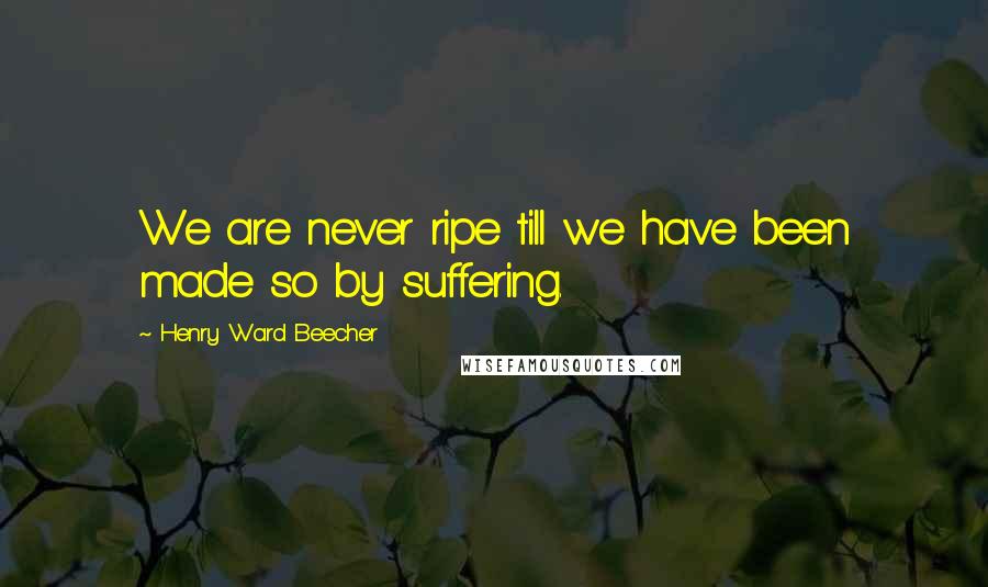 Henry Ward Beecher Quotes: We are never ripe till we have been made so by suffering.