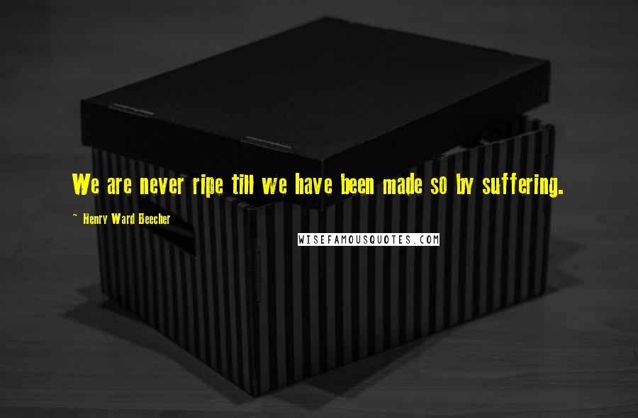 Henry Ward Beecher Quotes: We are never ripe till we have been made so by suffering.