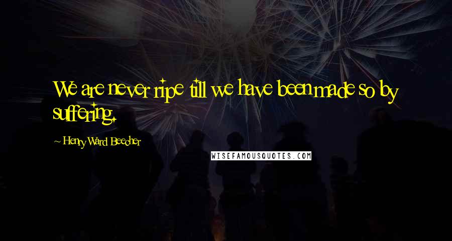 Henry Ward Beecher Quotes: We are never ripe till we have been made so by suffering.