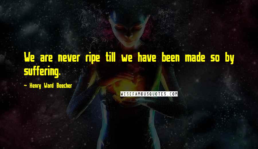 Henry Ward Beecher Quotes: We are never ripe till we have been made so by suffering.