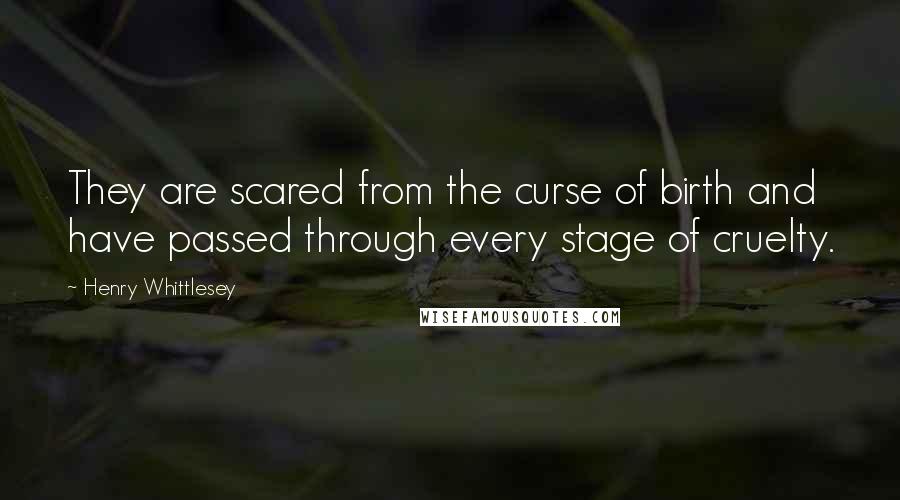 Henry Whittlesey Quotes: They are scared from the curse of birth and have passed through every stage of cruelty.