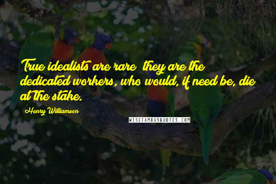 Henry Williamson Quotes: True idealists are rare; they are the dedicated workers, who would, if need be, die at the stake.