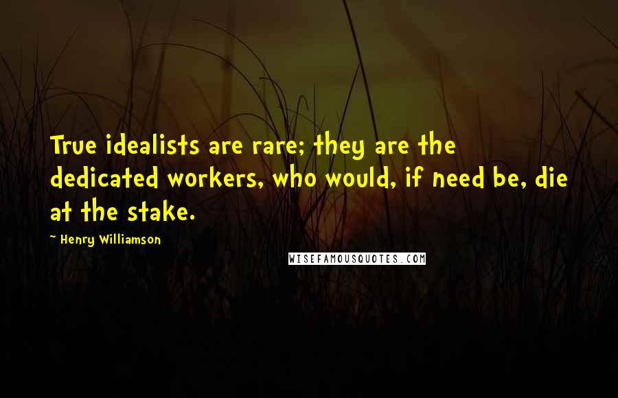 Henry Williamson Quotes: True idealists are rare; they are the dedicated workers, who would, if need be, die at the stake.