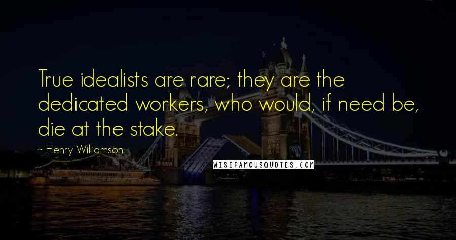 Henry Williamson Quotes: True idealists are rare; they are the dedicated workers, who would, if need be, die at the stake.