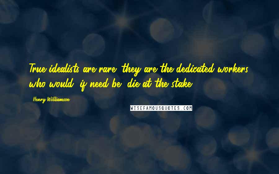 Henry Williamson Quotes: True idealists are rare; they are the dedicated workers, who would, if need be, die at the stake.