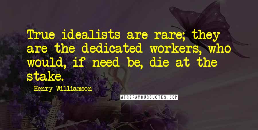 Henry Williamson Quotes: True idealists are rare; they are the dedicated workers, who would, if need be, die at the stake.