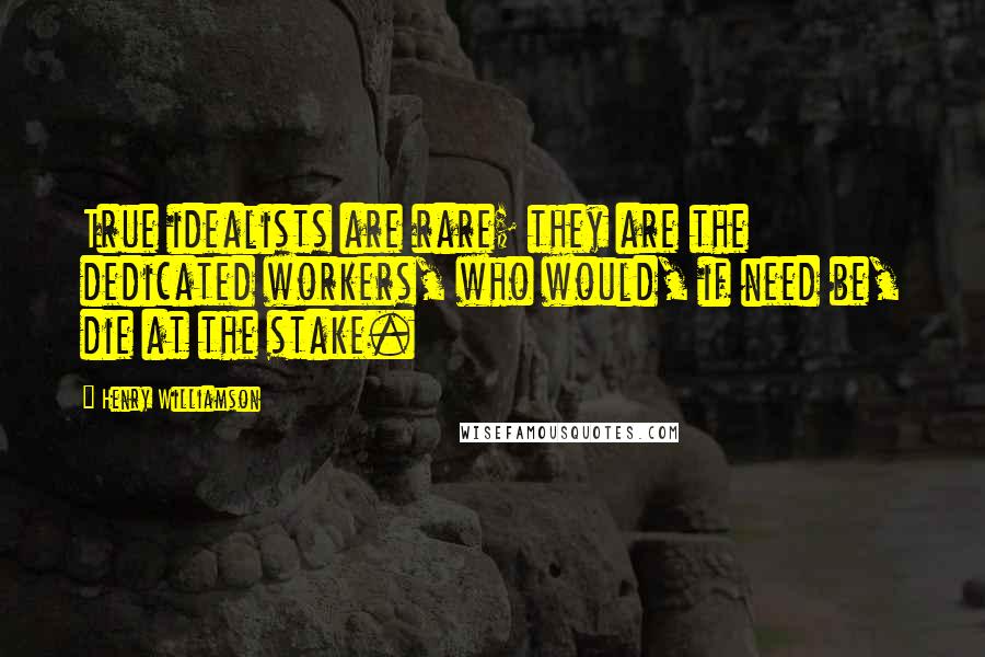 Henry Williamson Quotes: True idealists are rare; they are the dedicated workers, who would, if need be, die at the stake.