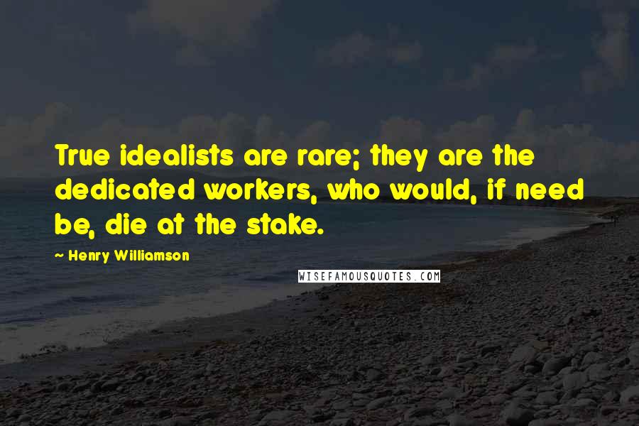 Henry Williamson Quotes: True idealists are rare; they are the dedicated workers, who would, if need be, die at the stake.