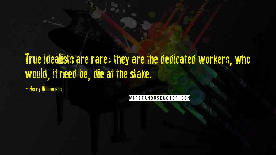 Henry Williamson Quotes: True idealists are rare; they are the dedicated workers, who would, if need be, die at the stake.